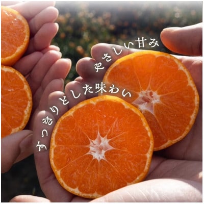 【砂糖・保存料・甘味料すべて不使用】愛媛みかんジュース「天凪」　720ml　2本【D98-3】【1711051】