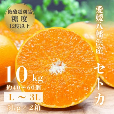 【みかんの大トロ】糖度12.0以上 酸1.4以下 糖酸選別品 愛媛セトカ 10kg【H20-77】【1620331】