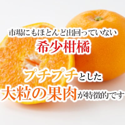 ãçæã¯ãã¿ã5kgãC79-24ãã1474168ã