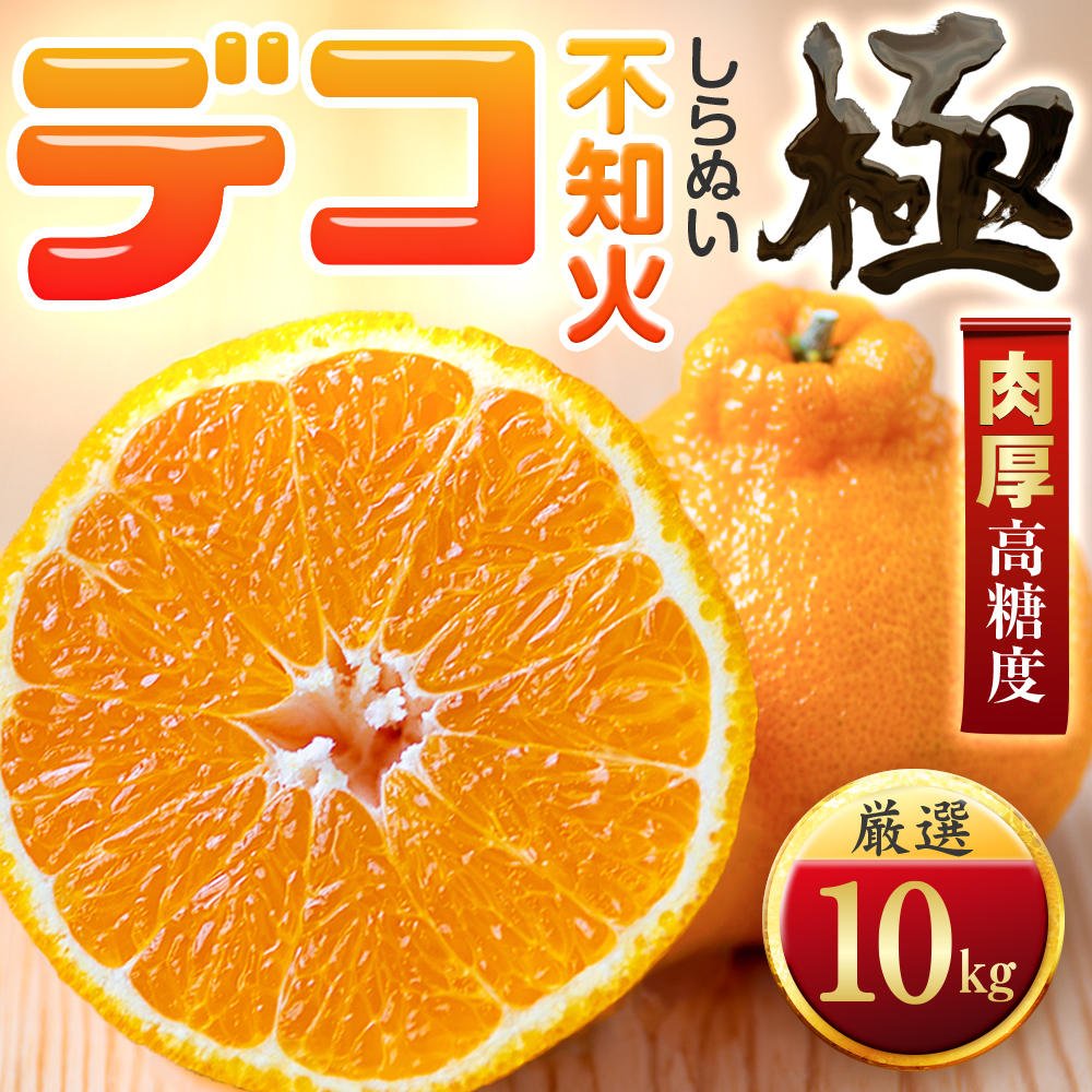 【先行受付】【太陽をたっぷり浴びた】デコ(不知火)【極】10kg【H49-47】【1509744】 YWTZ039