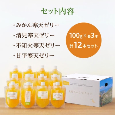 ãã€ã¢ããªã¬ã³ãžã¬ãŒãã³ã®ãæåªéžãæã!ã¹ãã·ã£ã«ãããã€ãŒãªãŒ12æ¬ã»ããããC25-152ãã1452992ã