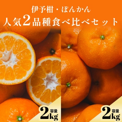 伊予柑+ぽんかん 愛媛人気2品種食べ比べ【各2kg】【D70-132】【1684431】