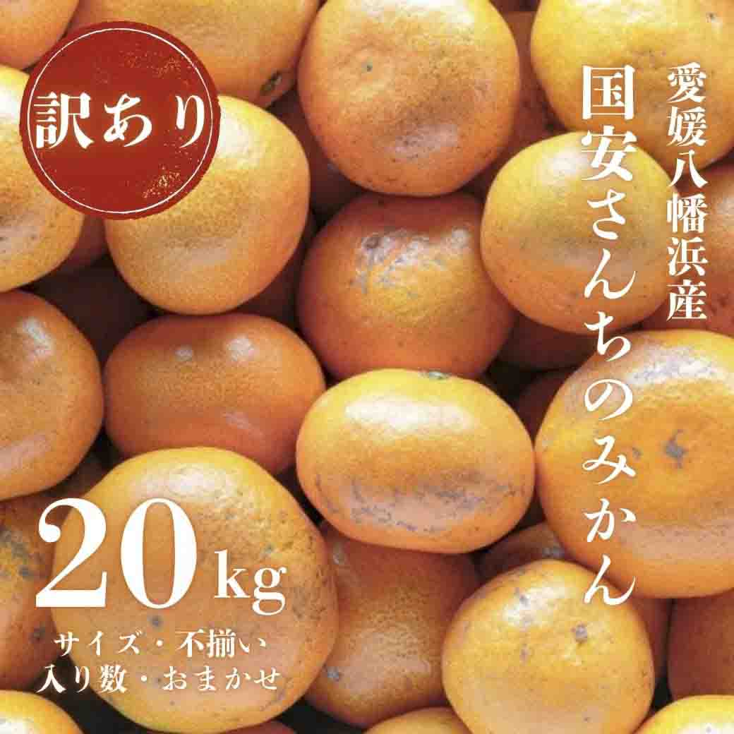 【創業85年 親子4代 愛媛みかん 一筋】訳あり 愛媛みかん 20kg【H20-82】【1623264】 YWTI077