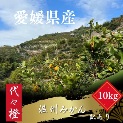 代々橙みかん10kg(家庭用・サイズ混合)【E83-5】【1543880】