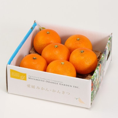 æé«çŽã¿ãã åªç ãŸã©ã㪠1.5kg æåªç å
«å¹¡æµåž 西å®åå°åº åžå°åçš®ãC25-366ãã1717436ã