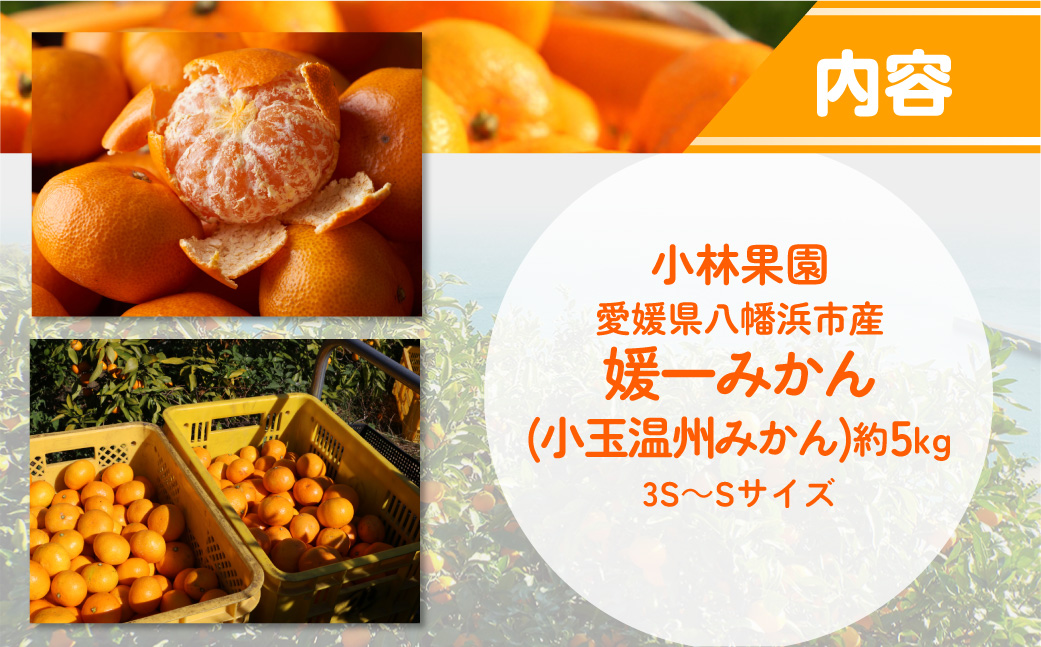 【先行受付】小林果園の媛一みかん【小粒】約5kg【C24-34】 YWTAD025