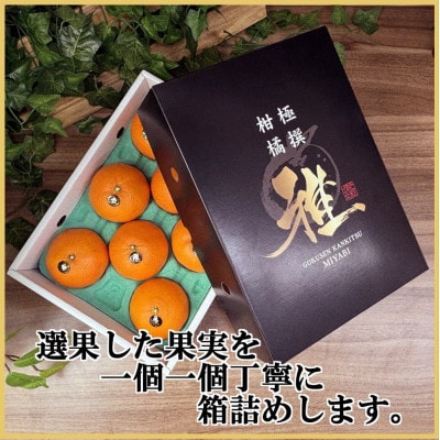 極撰柑橘 【雅】光センサー 合格品・プルプル食感「 マドンナ 」 約3キロ【E39-70】【配送不可地域：離島】【1620366】