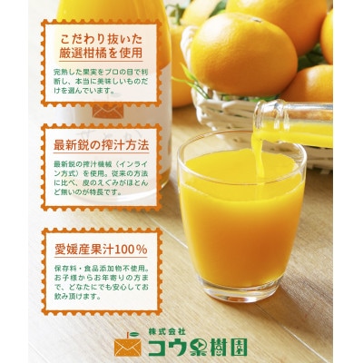 【発送月固定定期便】コウ果樹園の旬の柑橘定期便(11月-10月)【H33-41】全12回【4052190】