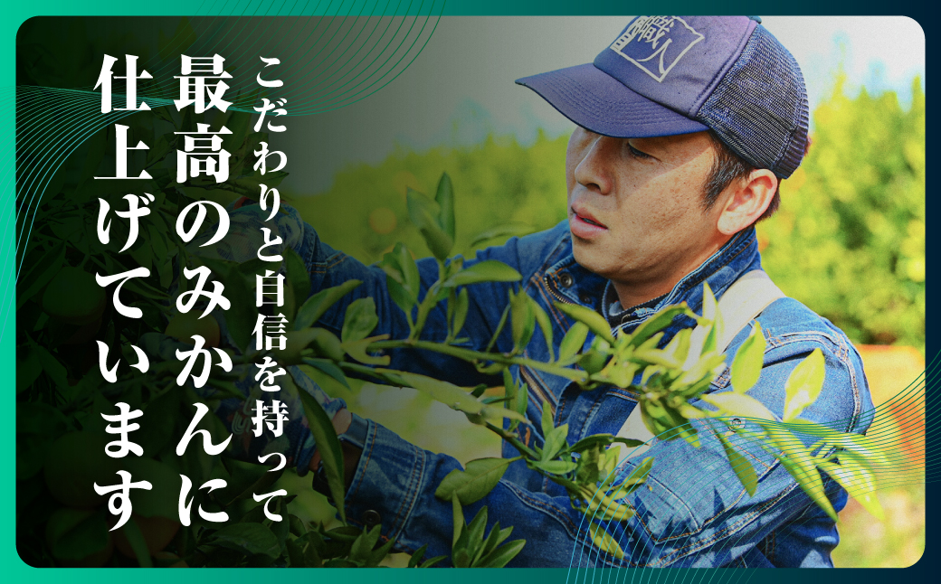 三代目がつくる【頂みかん】3kg×2箱【D31-21】【1503338】 YWTAC011