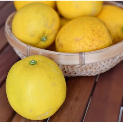 暑い日にピッタリのジューシーな河内晩柑7kg(ご家庭用)【C83-2】【配送不可地域：離島】【1528801】