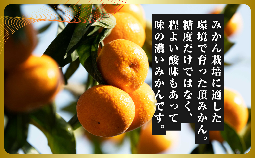 三代目の頂みかんTHEプレミアム【小玉サイズ】5kg【C31-19】【1088576】 YWTAC010