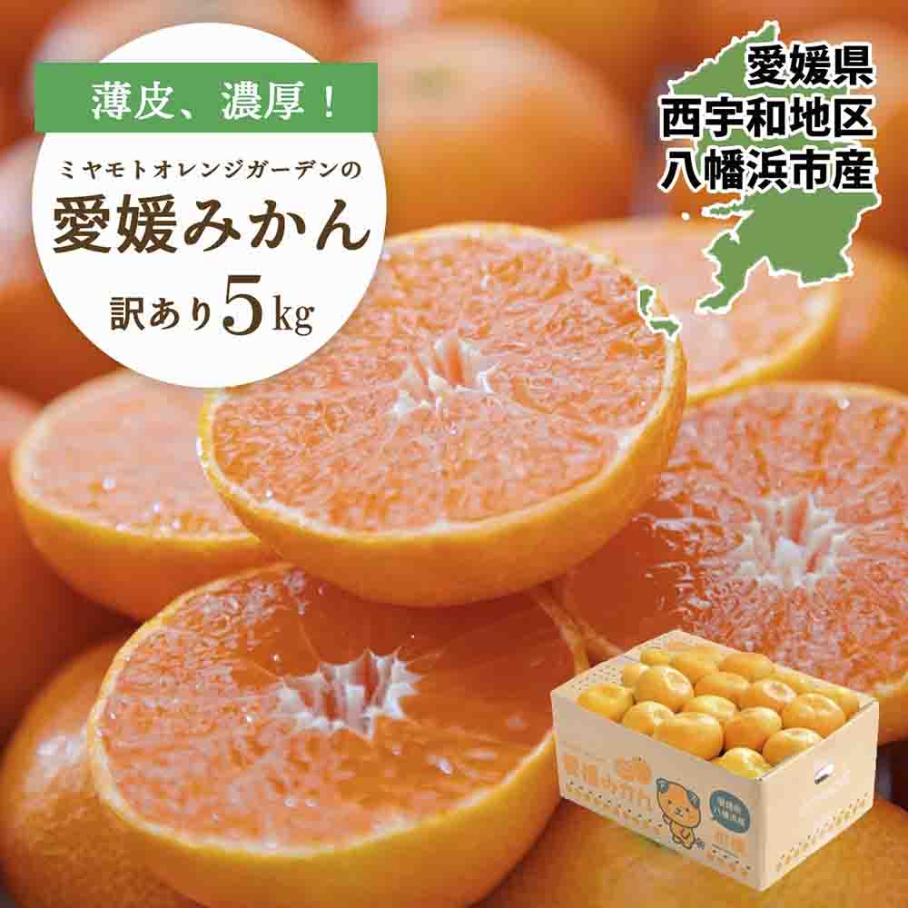 西宇和地区八幡浜産 愛媛みかん5kg【訳あり】【C25-176】【1606088】 YWTAP117