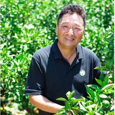 【愛媛名産】玉宝甘夏　6kg【C64-74】【1621819】