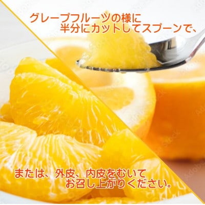 2026年4月〜順次出荷　爽やかでみずみずしい!初夏の「河内晩柑」約5キロ【訳あり】【C39-82】【配送不可地域：離島】【1640764】