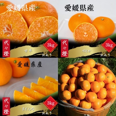 【発送月固定定期便】【訳あり】甘平 せとか みかん まどんな【H83-52】全4回【4068841】