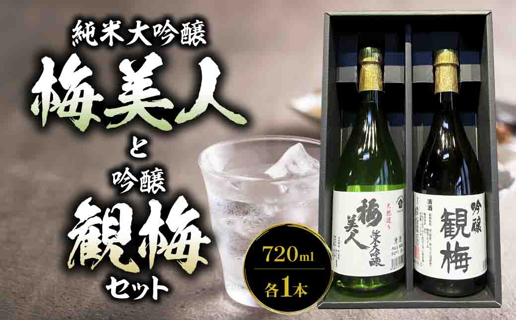 純米大吟醸梅美人720mlと吟醸観梅720mlのセット【D03-8】【1043422】 YWTO004