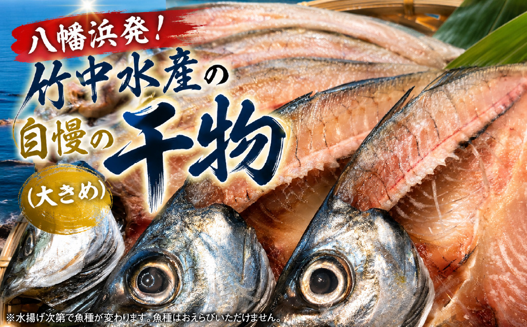 蜈ォ蟷。豬懃匱シ∫ォケ荳ュ豌エ逕」縺ョ蝨ー迚ゥ縺ョ蟷イ迚ゥシ匁椢繧サ繝繝茨シ亥、ァ繧オ繧、繧コシ峨22-295縲 YWTM109