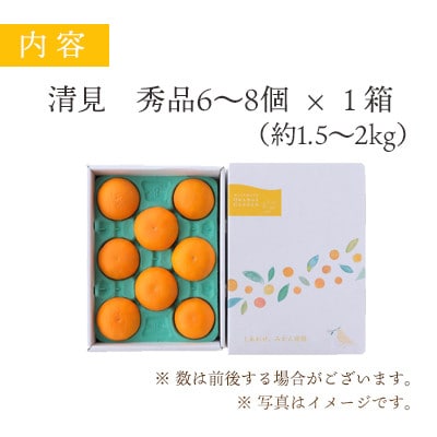 果汁たっぷり ジューシー清見 │ 専用贈答BOX入り【E25-100】【1360103】