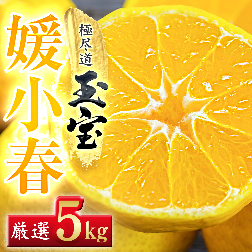 【愛媛名産】玉宝媛小春(ひめこはる)　5kg【H64-87】【1623970】 YWTY076