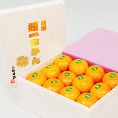 桐箱入り・媛一みかん(2.5kg)【D24-4】【1045056】