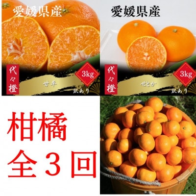 【発送月固定定期便】【訳あり】甘平 せとか みかん【H83-51】全3回【4068840】