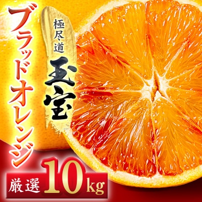 【愛媛名産】玉宝ブラッドオレンジ(タロッコ)　10kg【H64-67】【1621809】