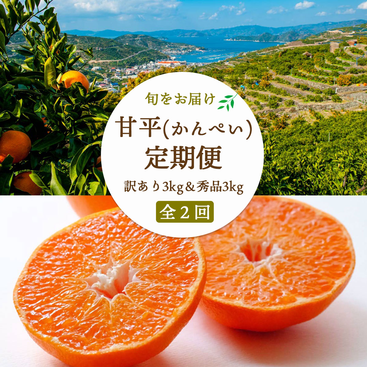 ã2é±éæ¯å®æäŸ¿ããæåªé宿 œå¹ãçå¹³3kg(èš³)Ãçå¹³3kg(ç§)ãH25-270ãå
š2åã4071371ã YWTAP211