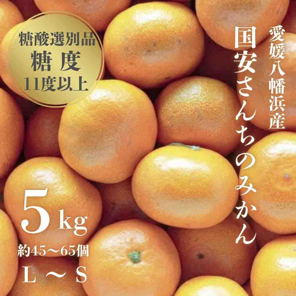 【糖度11度以上 酸1.0以下 糖酸選別品】愛媛みかん 5kg【D20-49】【1594923】 YWTI044