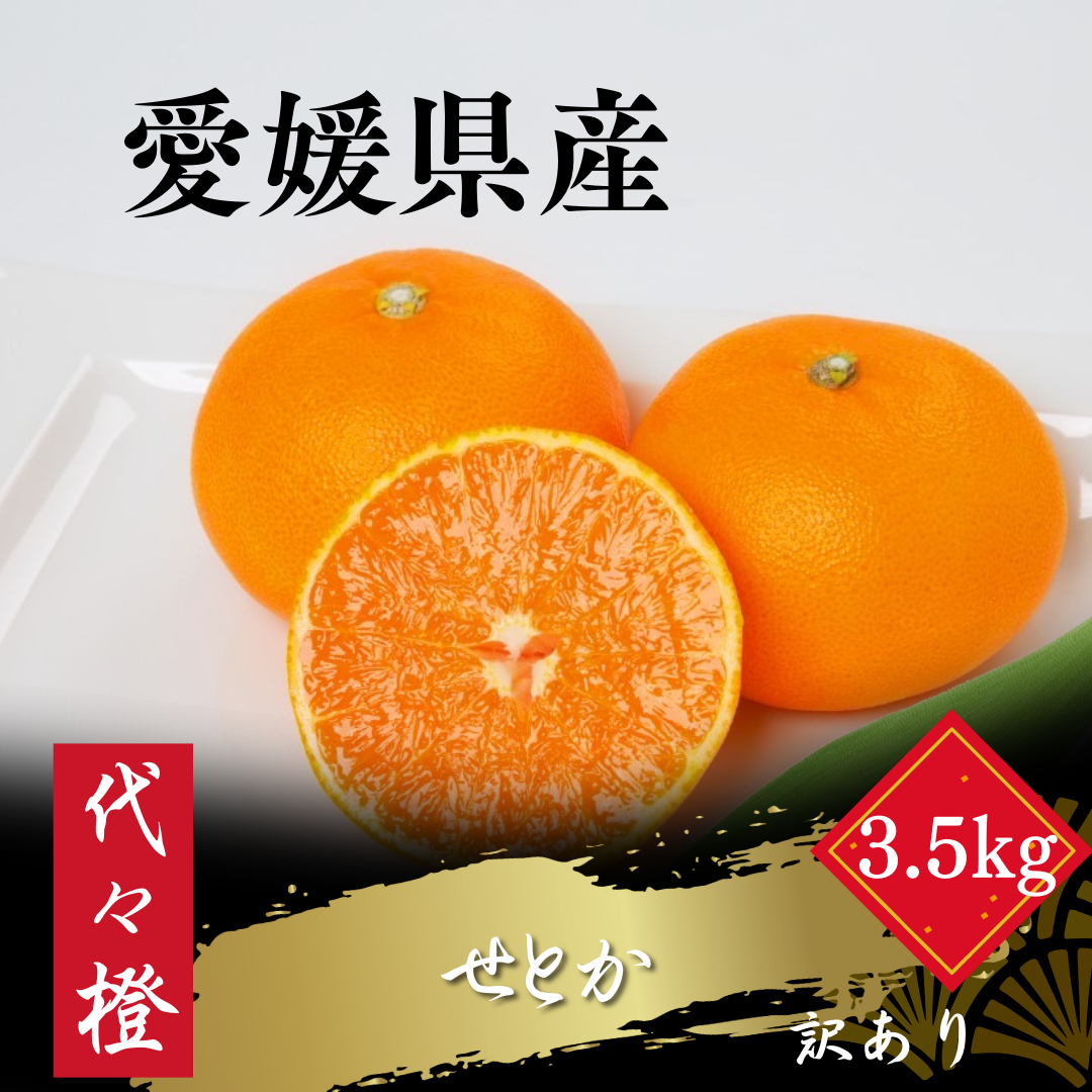 【先行受付】代々橙せとか【訳あり】3.5kg【C83-54】【1633818】 YWTW054