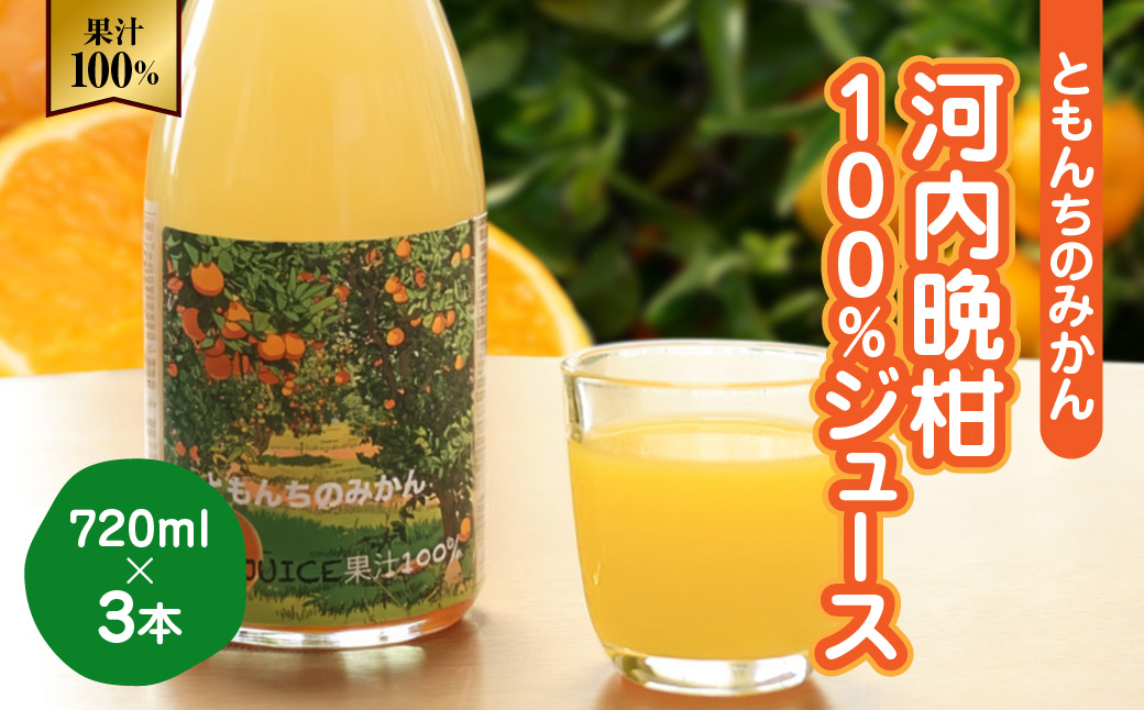 河内晩柑100%ジュース720ml×３【91-4】 ふるさと納税 オレンジ みかん  晩柑 河内晩柑 ジュース 産地直送 愛媛県 八幡浜市 送料無料 YWTB003