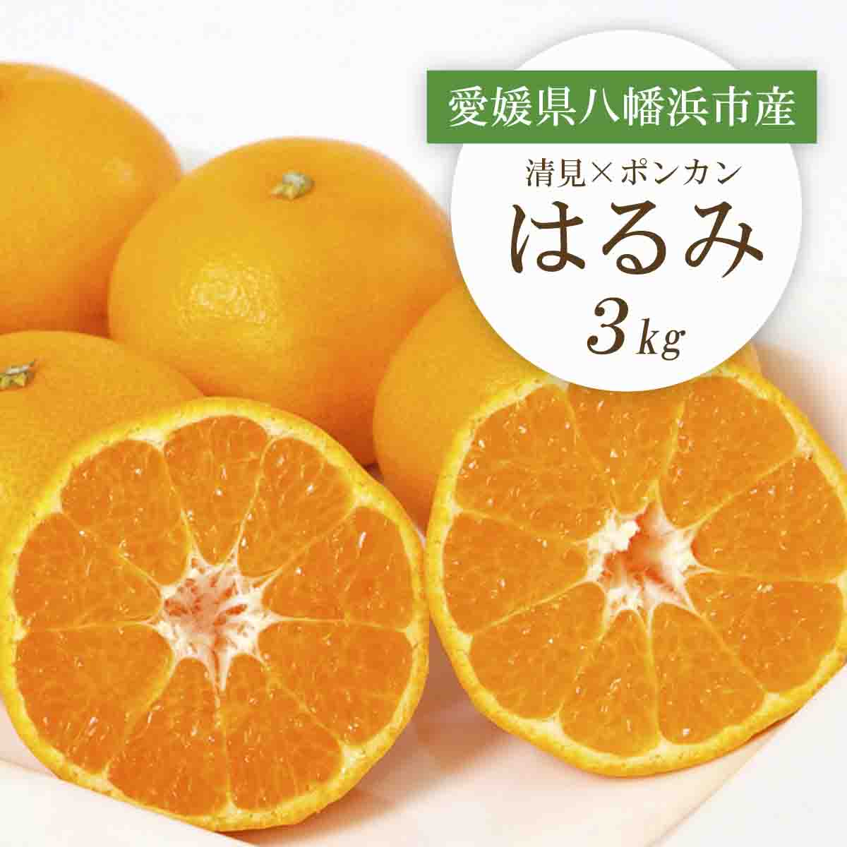 【2026年2月より順次発送】愛媛県八幡浜市産 はるみ3kg【C25-208】【1612537】 YWTAP149
