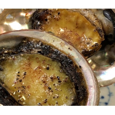 八幡浜発!竹中水産の「アワビ三昧大サイズ」400g(鯛もしくはアジとセット)【F22-214】【配送不可地域：離島・北海道・沖縄県】【1043110】