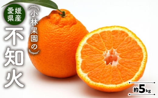 小林果園の不知火(約5kg)【C24-20】【1124426】