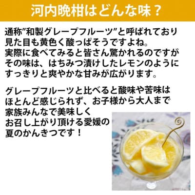 ゲル化剤・pH調整剤不使用!愛媛産 河内晩柑寒天ゼリー 12本セット【D25-223】【1628741】