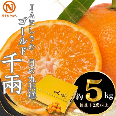 JAにしうわの季節の柑橘(日の丸共選「ゴールド千兩」約5kg)【F08-45】【1443339】