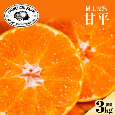 【数量限定】今シーズン発送!【訳あり】甘平 3kg【C70-165】【1710494】