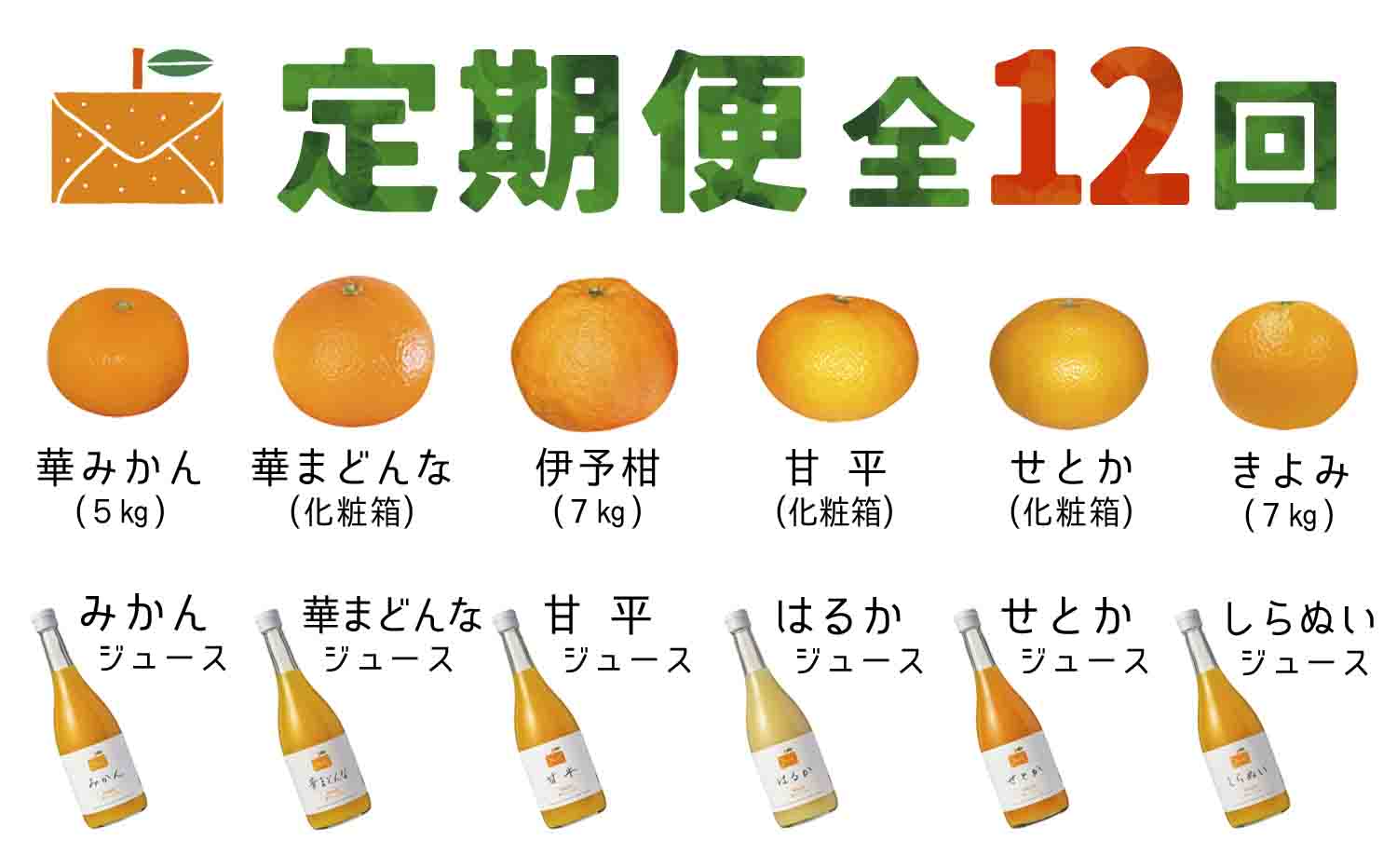 【発送月固定定期便】コウ果樹園の旬の柑橘定期便(11月-10月)【H33-41】全12回【4052190】 YWTG023