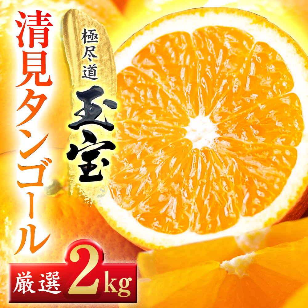 【愛媛名産】玉宝清見タンゴール　2kg【A64-81】【1623964】 YWTY070