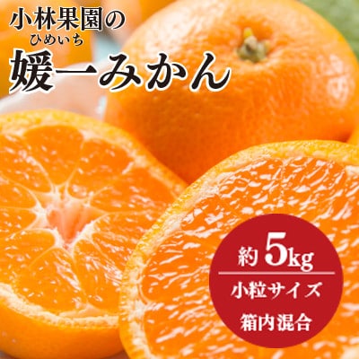 小林果園の媛一みかん【小粒】約5kg【C24-34】【1633616】