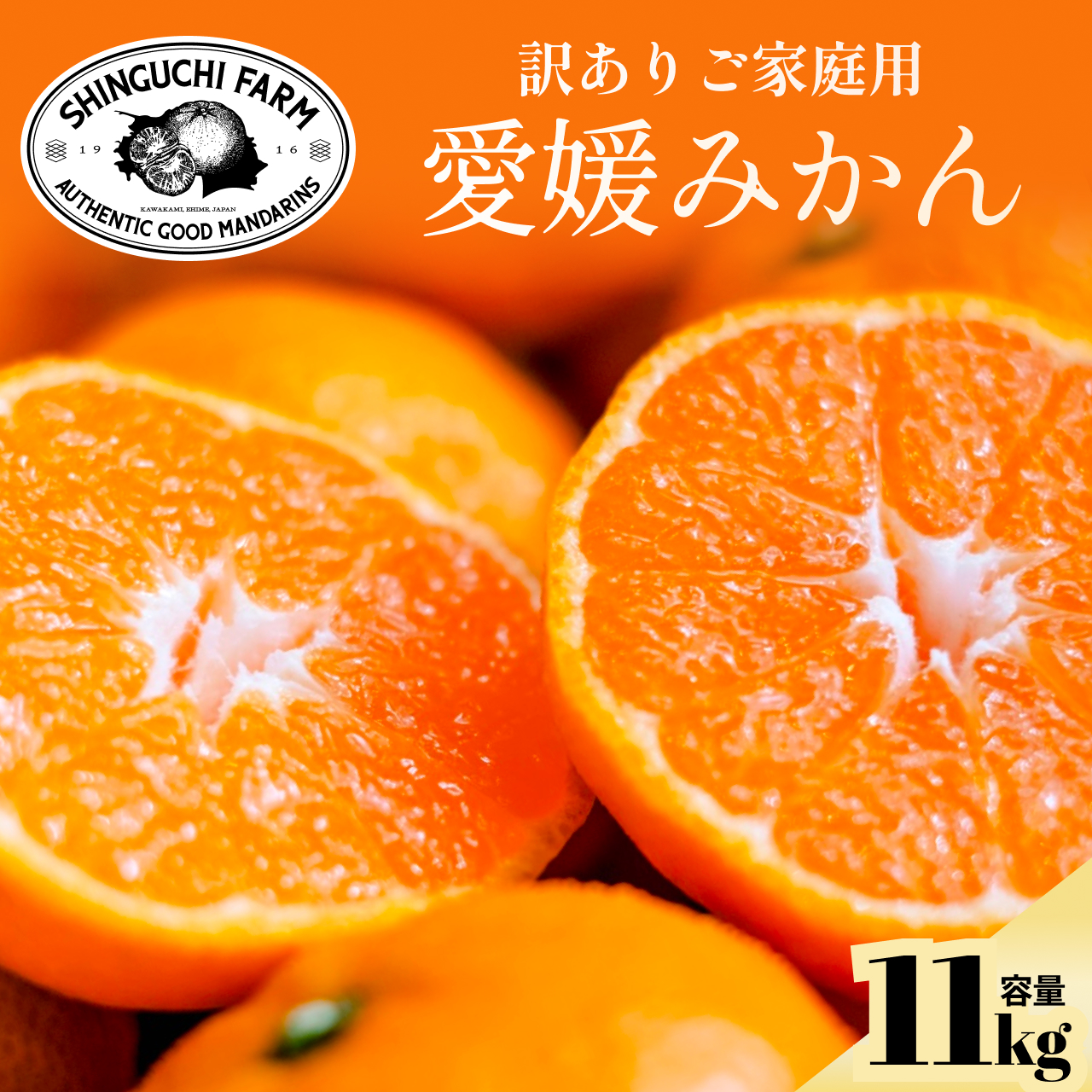 今シーズン発送開始!【訳あり】愛媛みかん 11kg 愛媛県産【C70-136】【1686736】 YWTK135