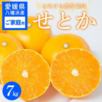 【ご家庭用】せとか 7kg みかん 愛媛県 八幡浜産市 西宇和地区 柑橘の女王【E25-297】【1712729】