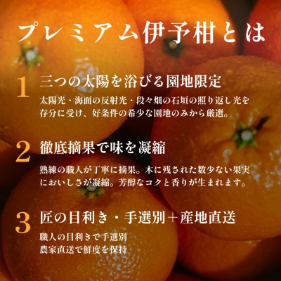 老舗農家が見極めたプレミアム【伊予柑3kg】【愛媛県川上産】【C70-94】【1671254】