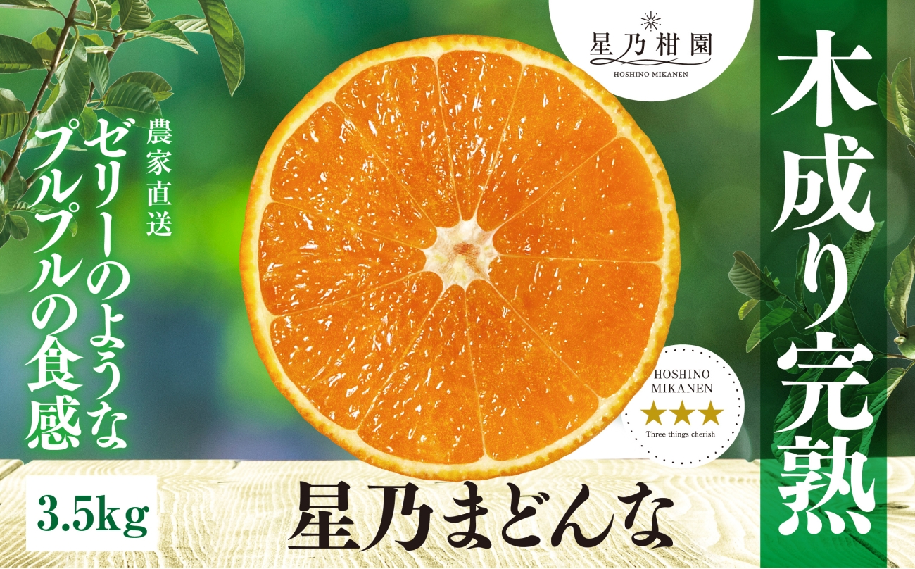 星乃みかん園の 星乃まどんな (3.5kg)【D45-63】【1339327】