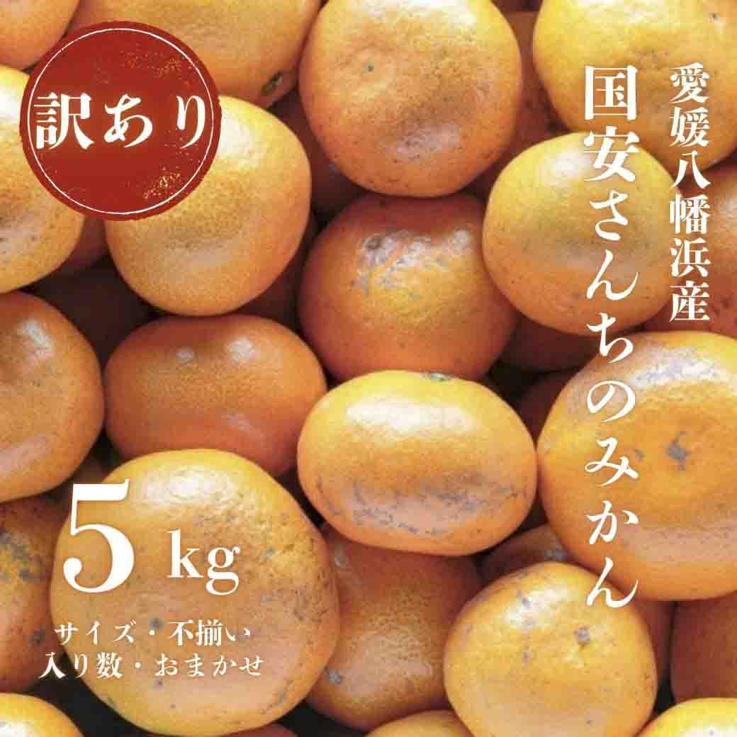 【創業85年 親子4代 愛媛みかん 一筋】訳あり 愛媛みかん 5kg【C20-51】【1595879】 YWTI046