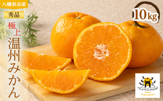 極上温州みかん 計10kg 愛媛県八幡浜市産【E56-75】【1662930】