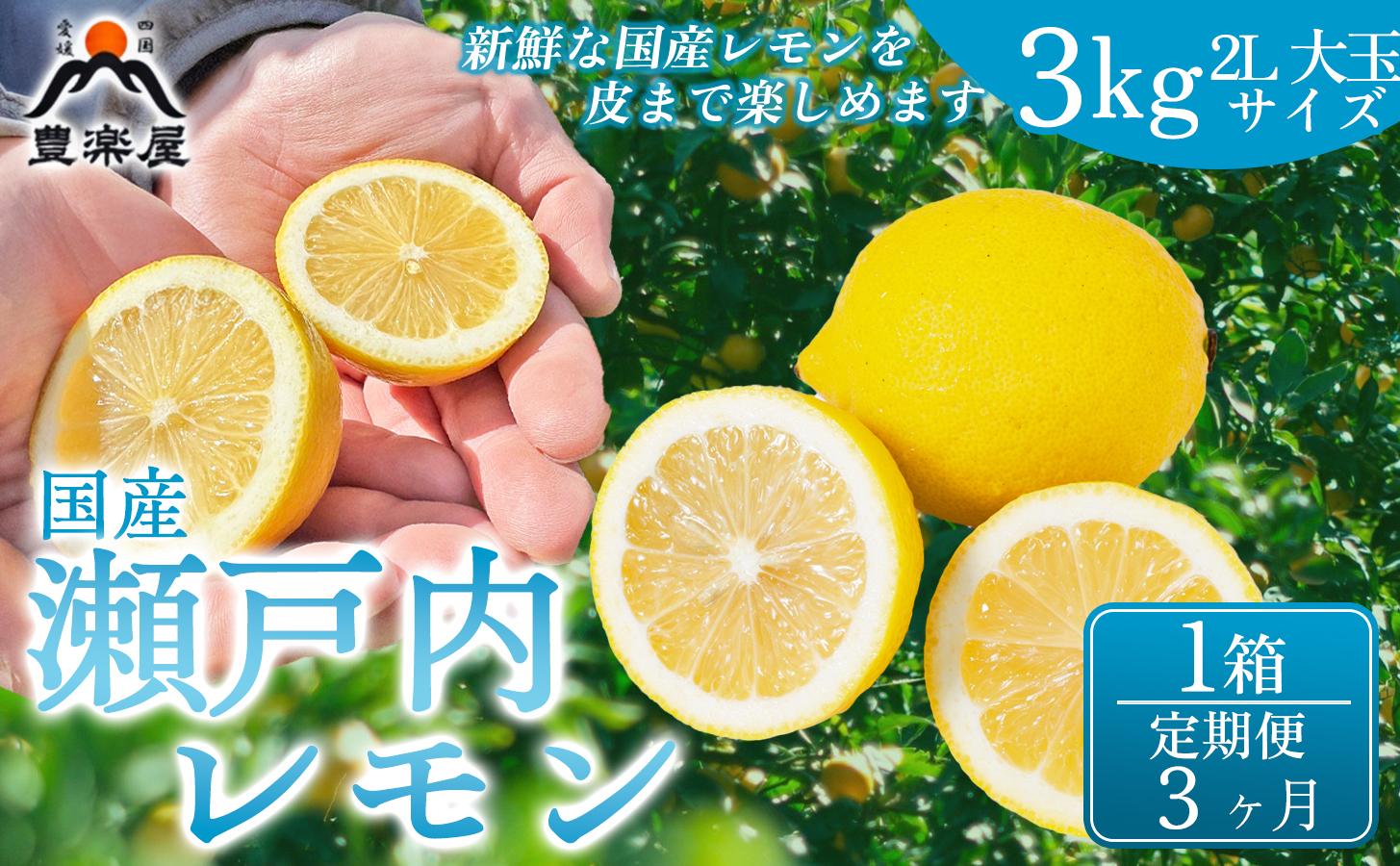 【定期便3ヶ月】【防腐剤・ワックス不使用で安心】真穴産地直送の国産レモン 瀬戸内レモン3kg サイズ2L大玉 1箱 全3回【98-28】YWTBU027