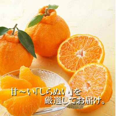 2026幎2æãé æ¬¡åºè·ãçããšé
žå³ã®çµ¶åŠãªãã©ã³ã¹!ã¯ãããæèãäžç¥ç«ãçŽ2ãããB39-75ããé
éäžå¯å°åïŒé¢å³¶ãã1620481ã