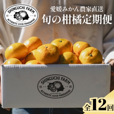 【発送月固定定期便】愛媛フルーツ旬の果物 プレミアム柑橘図鑑 農家直送【H70-148】全12回【4078089】