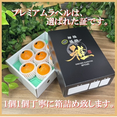 極撰柑橘【雅プレミアム】糖度保証・光センサー合格品「 せとか 」約3キロ【D39-69】【配送不可地域：離島】【1620365】