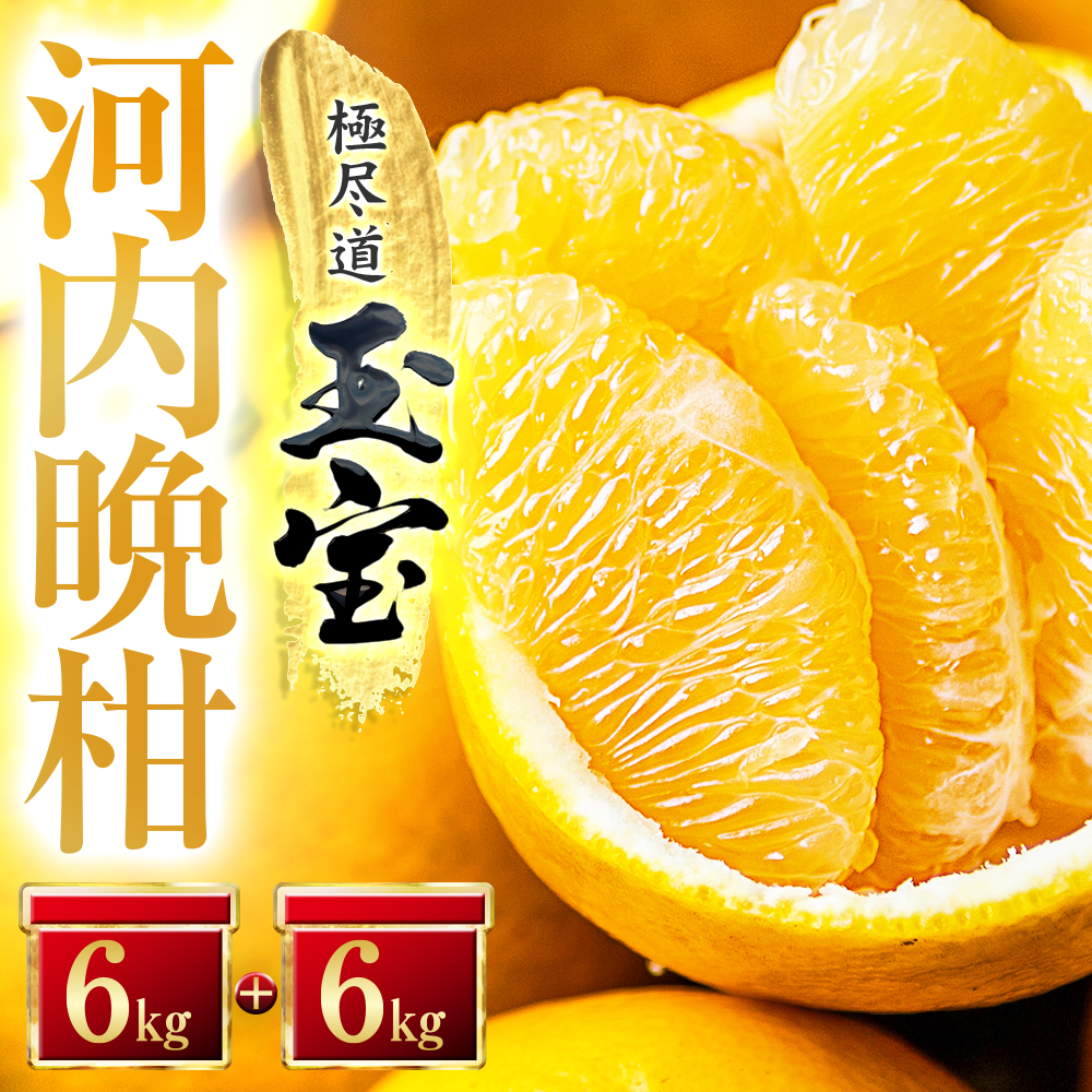 【愛媛名産】玉宝河内晩柑　12kg【F64-54】【1511222】 YWTY043